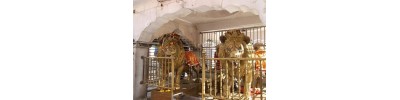 ஜ்வாலாமுகி - ஹிமாசல பிரதேசம்